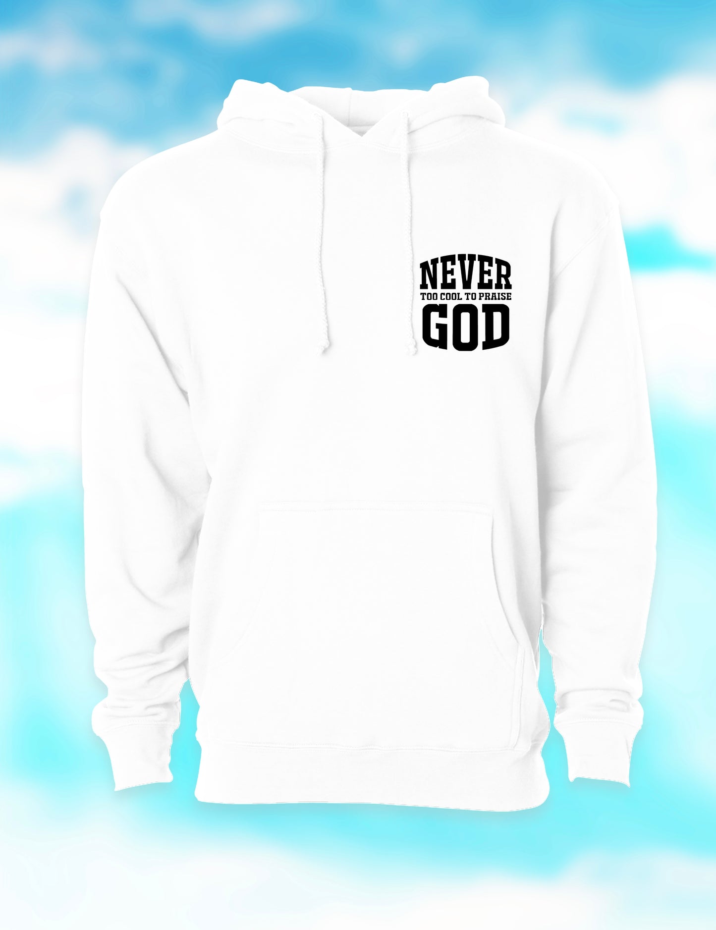NTCTPG 2.0 Heavyweight Hoodie